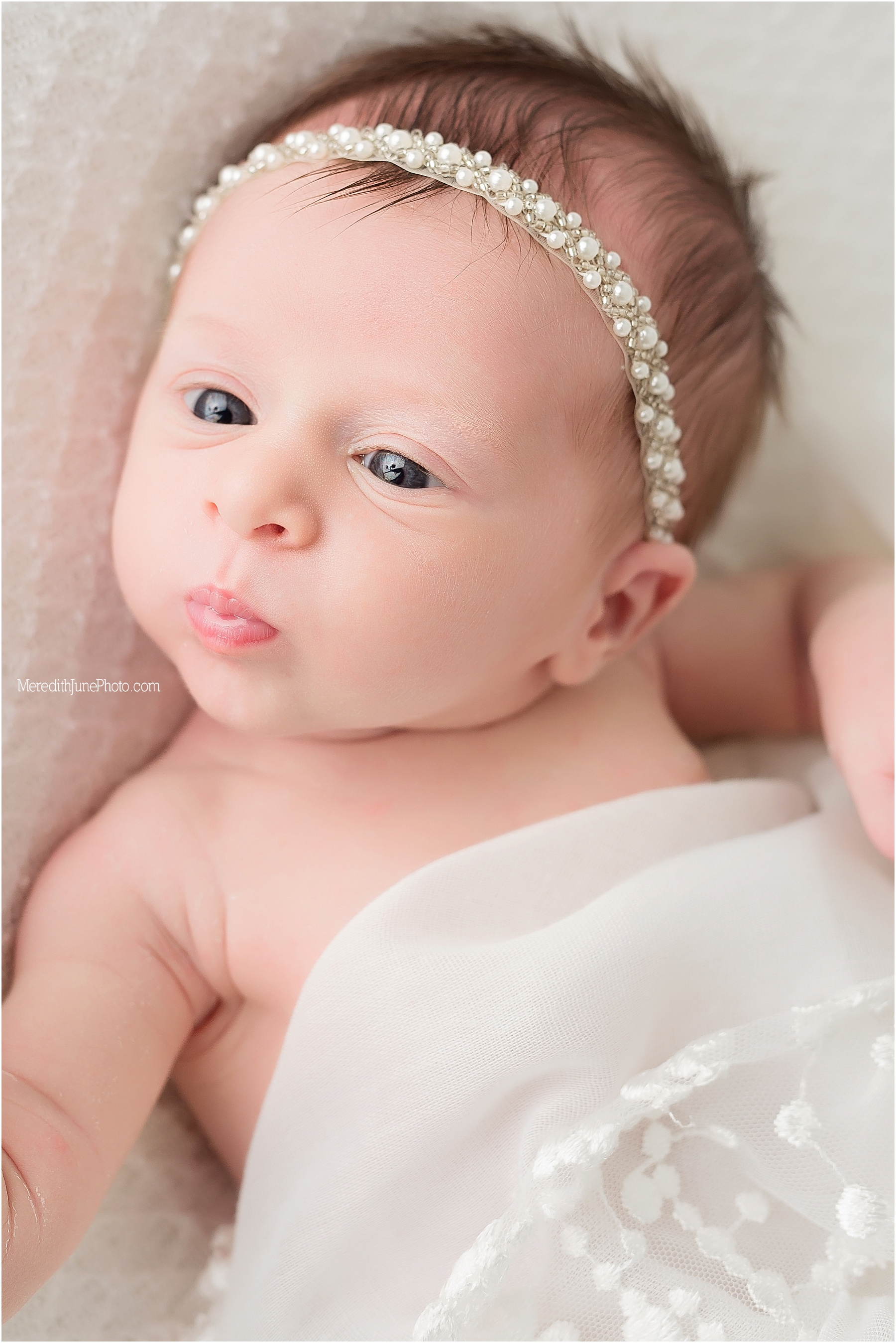 Baby girl newborn portraits 