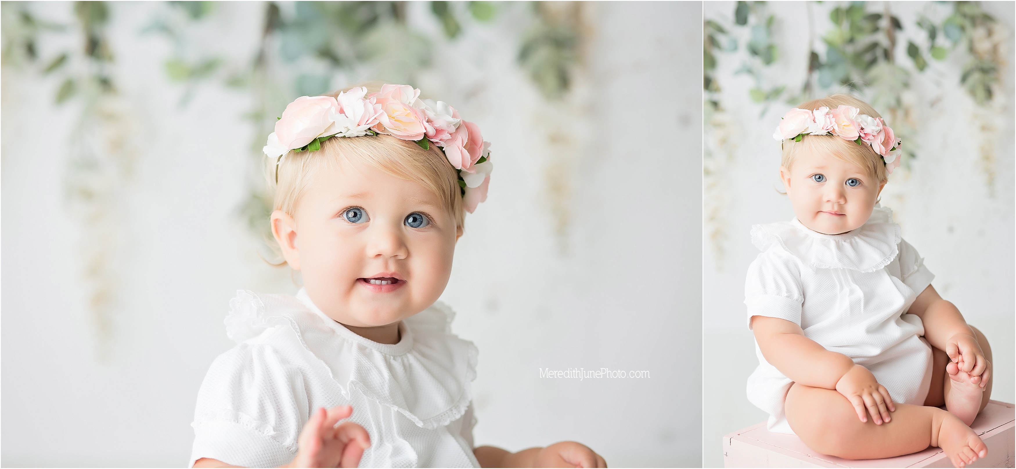 best baby photographers in charlotte