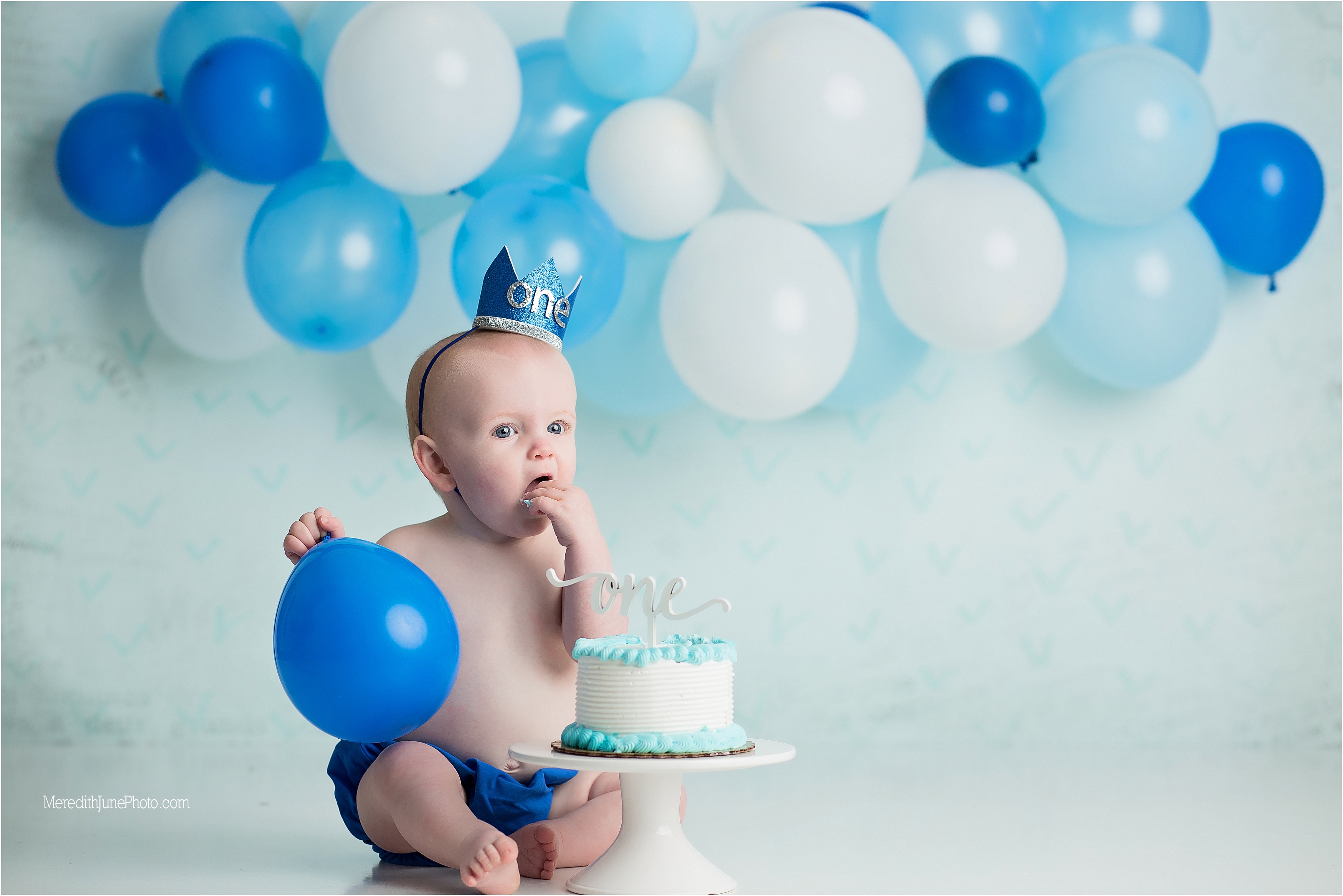 Payne's Cake Smash | Baby Plan Photo Session in Charlotte NC